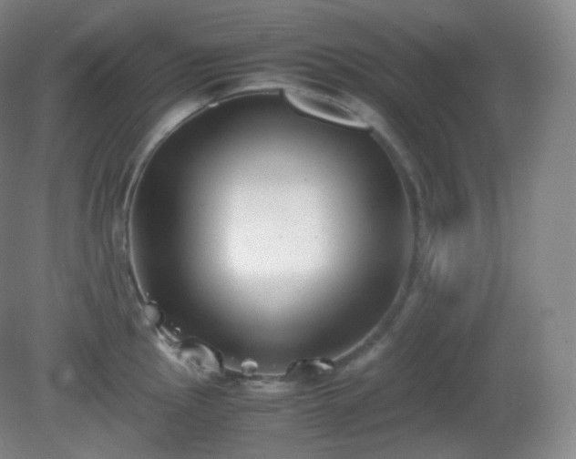 X0000081311145200701181855