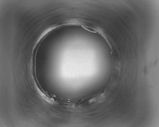 X0000081311147200701181855