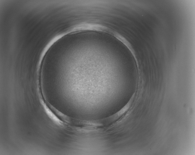 X0000081311152200701181855