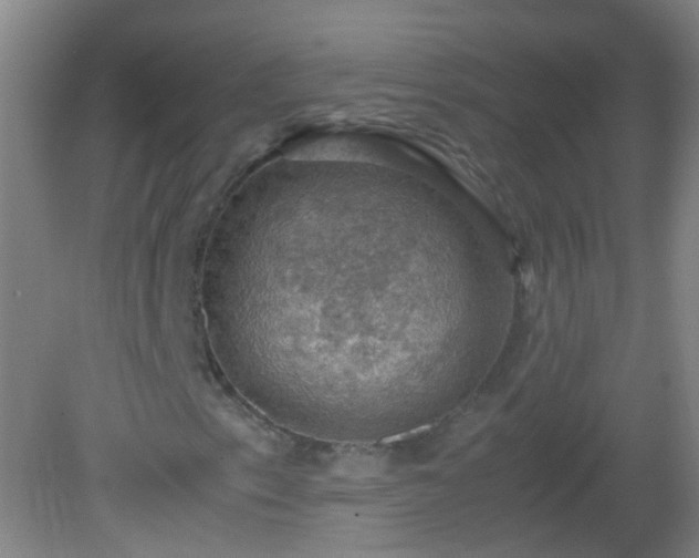 X0000081311153200701181855