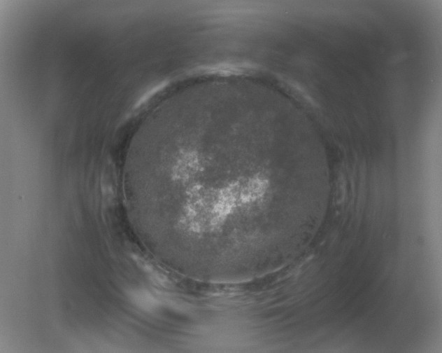 X0000081311158200701181854