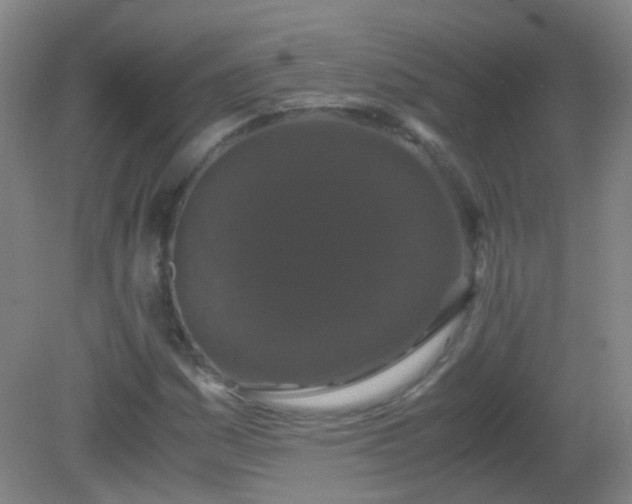 X0000081311161200701181854
