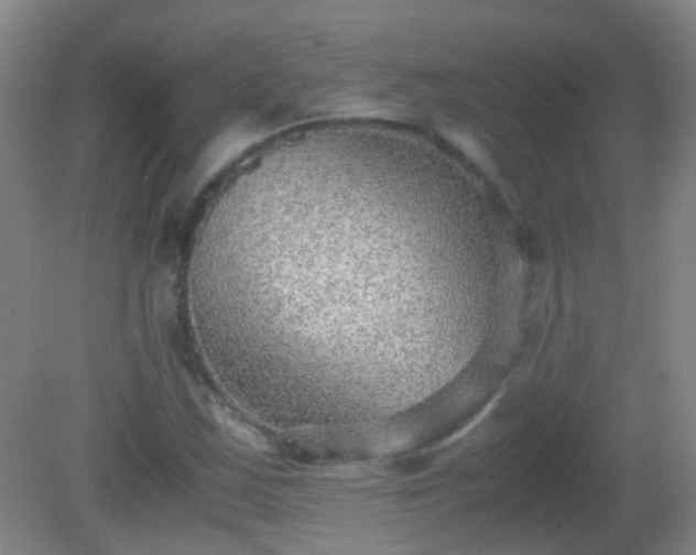 X0000081311163200701181854