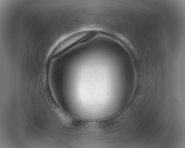 X0000081311167200701181854