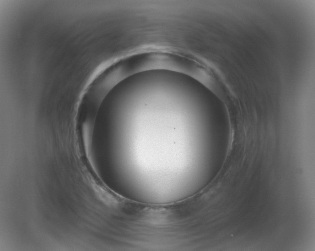 X0000081311168200701181854