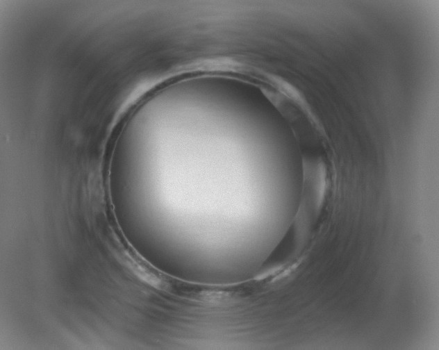 X0000081311176200701181854
