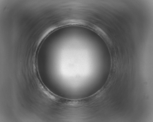 X0000081311182200701181854