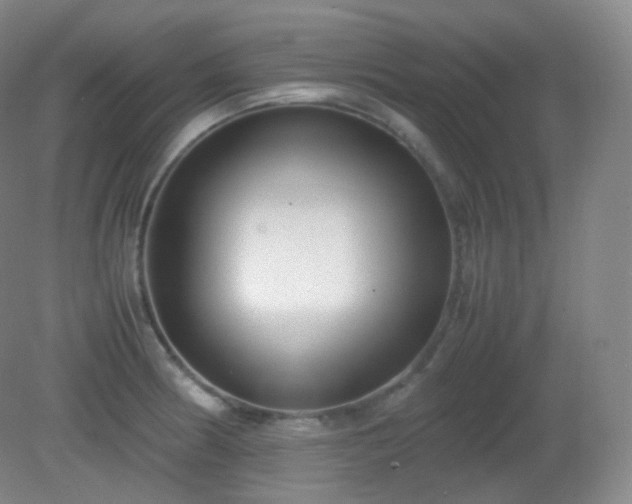 X0000081311186200701181854