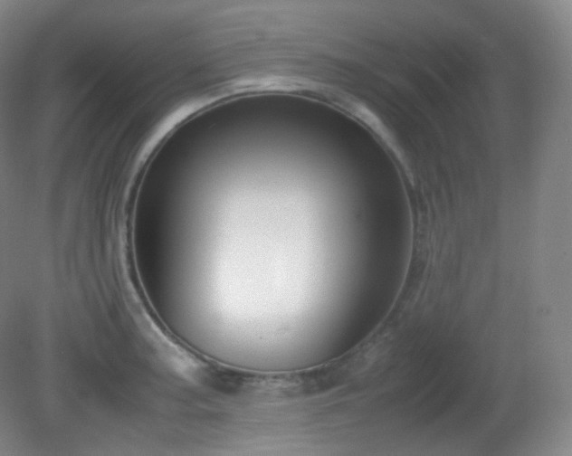 X0000081311187200701181854