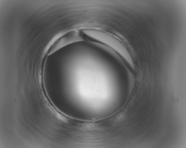 X0000081311188200701181854