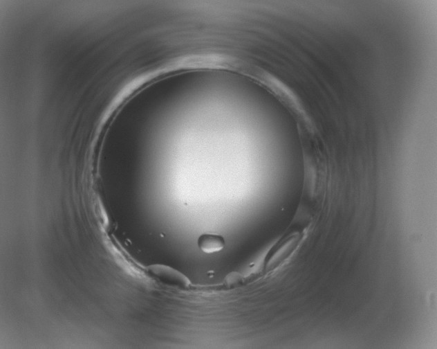 X0000081311192200701181854