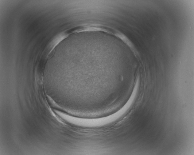 X0000081311193200701181854