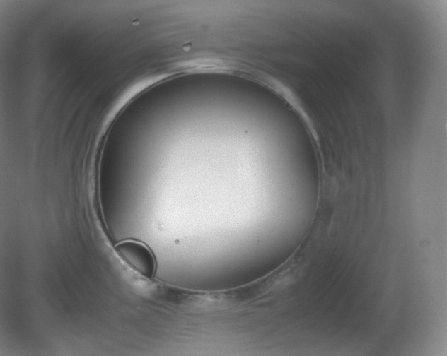 X0000081311195200701181854