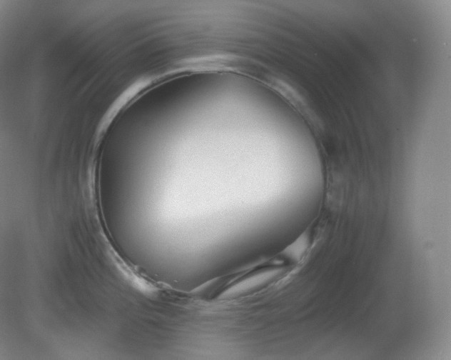X0000081311196200701181854