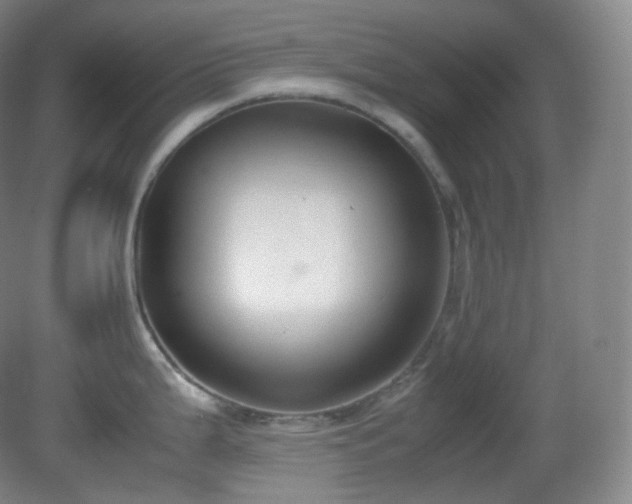 X0000081311199200701181854