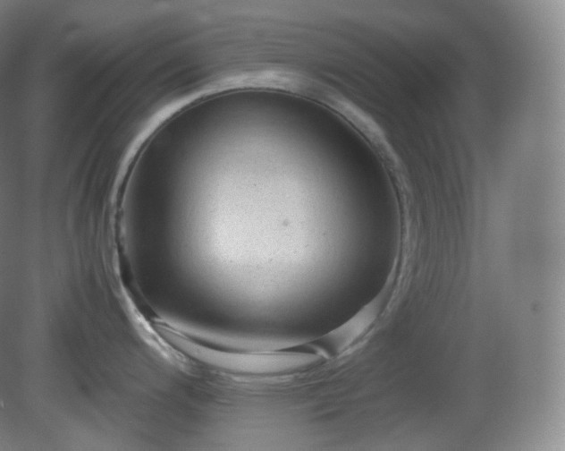 X0000081311200200701181854