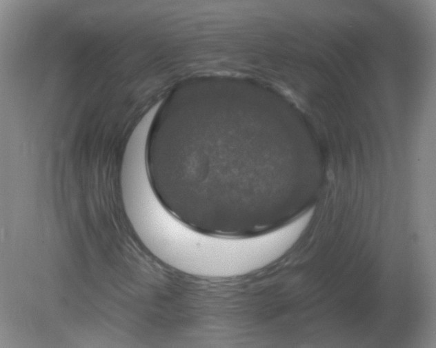 X0000081311202200701181853