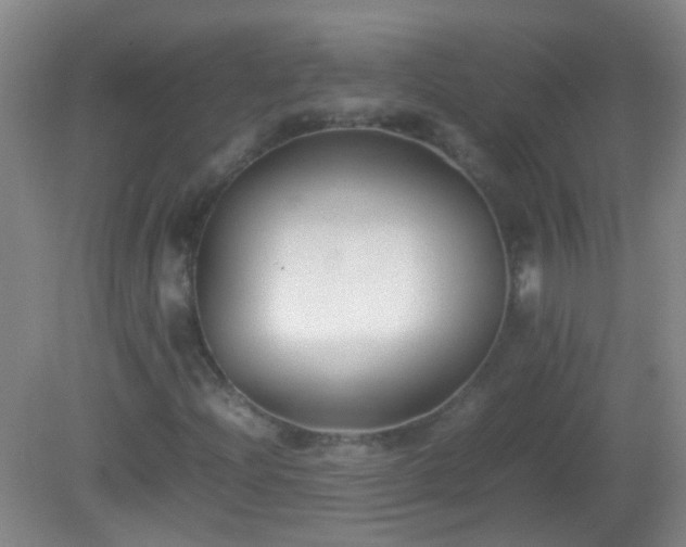 X0000081311204200701181853