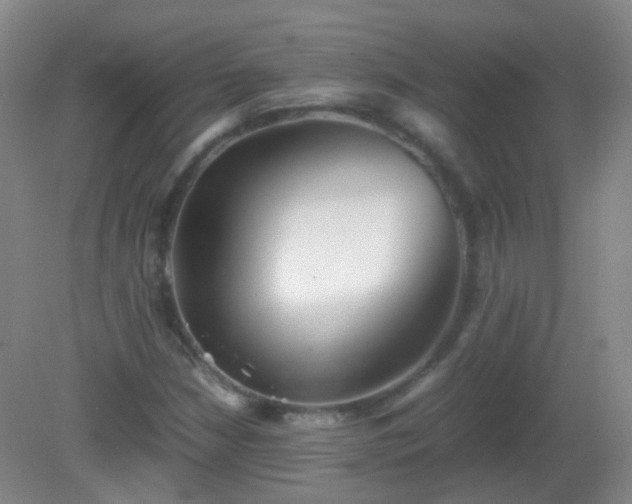 X0000081311210200701181853