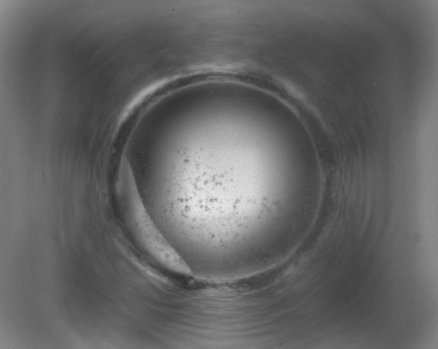 X0000081311214200701181853
