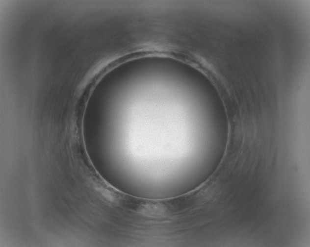 X0000081311215200701181853