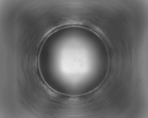 X0000081311220200701181853