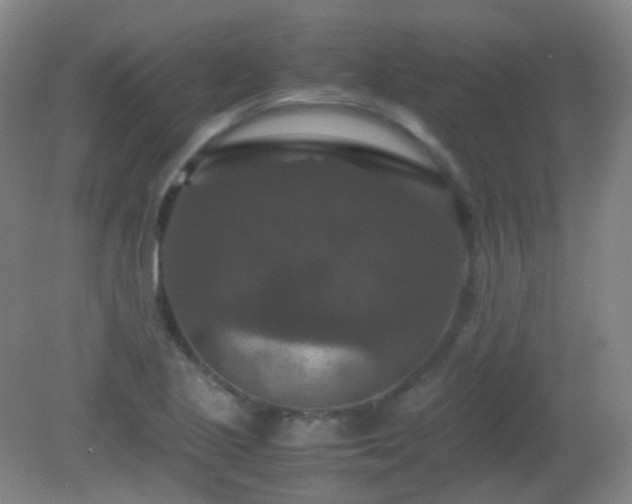 X0000081311221200701181853