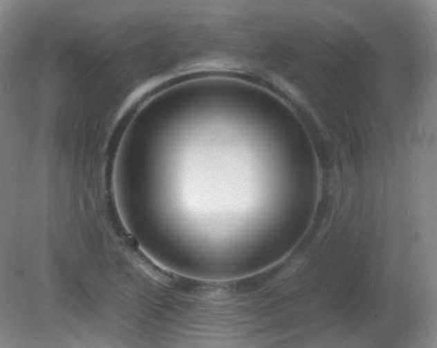 X0000081311222200701181853