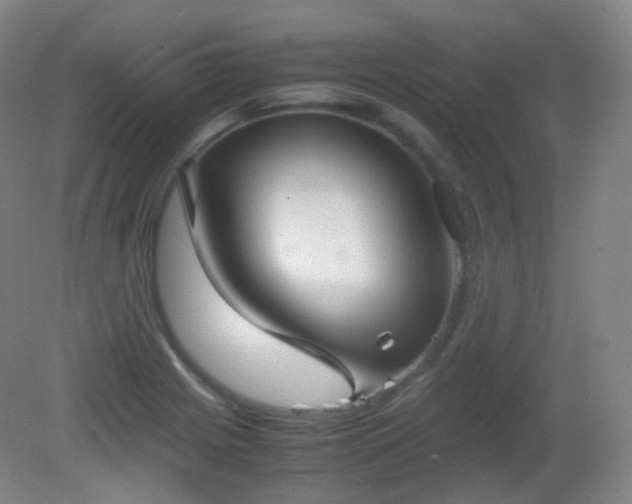 X0000081311225200701181853
