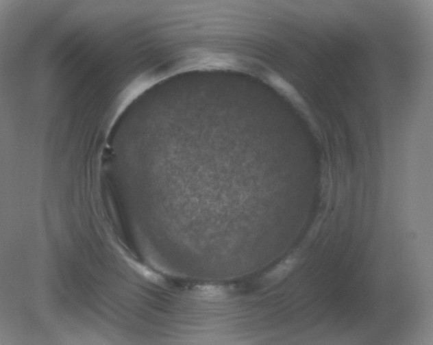 X0000081311226200701181853