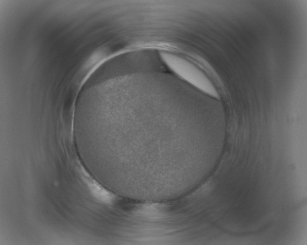 X0000081311228200701181853
