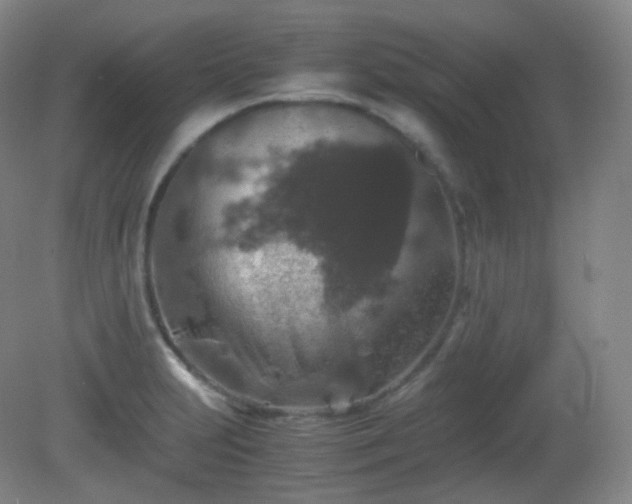X0000081311231200701181853