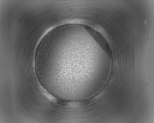X0000081311232200701181853