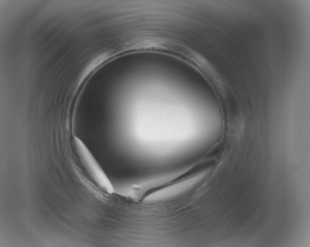 X0000081311234200701181853