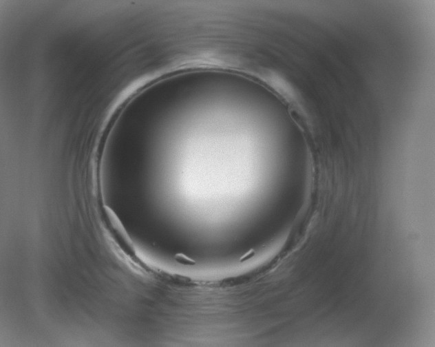 X0000081311238200701181854