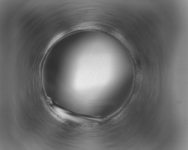 X0000081311242200701181854