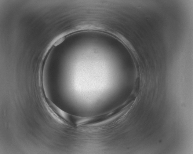 X0000081311246200701181854