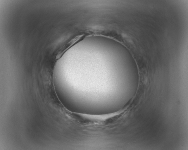 X0000081311253200701181853