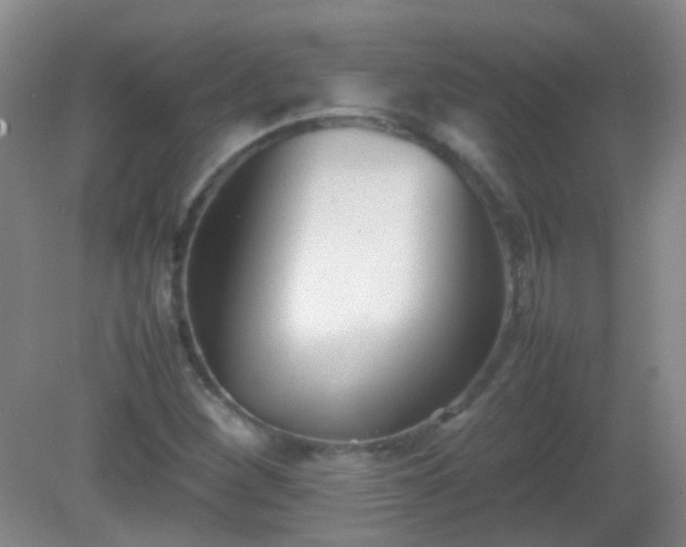 X0000081311260200701181853