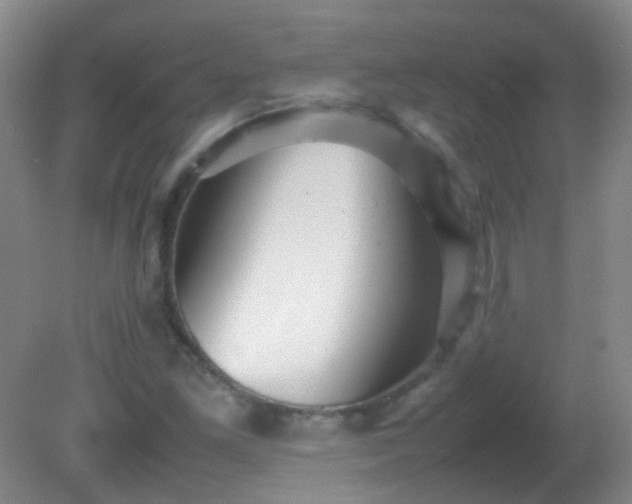 X0000081311261200701181853