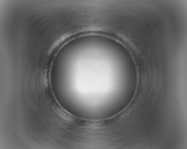 X0000081311262200701181853