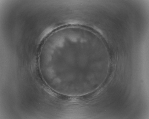 X0000081311263200701181853