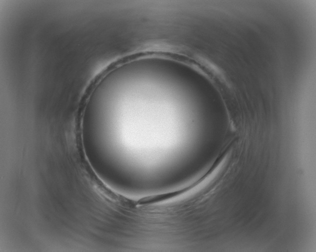 X0000081311264200701181853