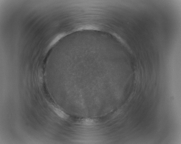 X0000081311266200701181853