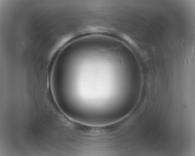 X0000081311269200701181853