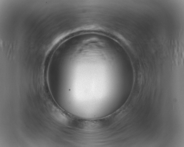 X0000081311270200701181853