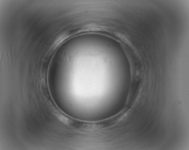 X0000081311273200701181852