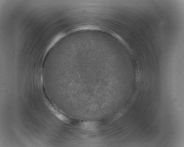 X0000081311274200701181852