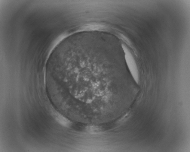 X0000081311275200701181852