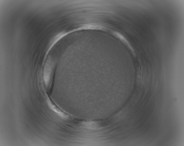X0000081311276200701181852